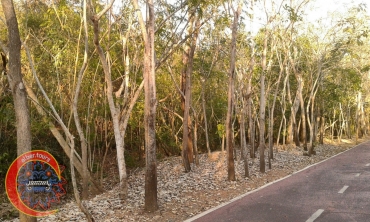 ciclopista-parque-aztlan-ixtapa-10