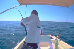 Ixtapa Fishing