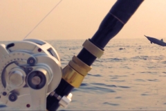 Ixtapa Fishing