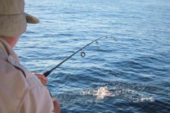 Ixtapa Fishing
