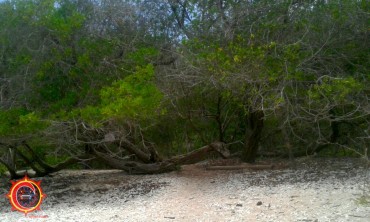 Playa Coral - Isla de Ixtapa