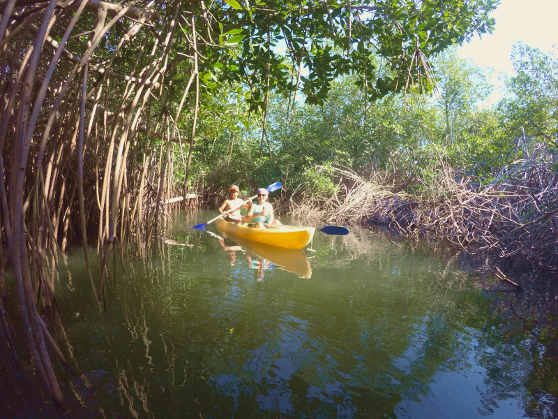Kayak en Barra Potosí